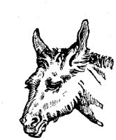 EAC015F.TIF