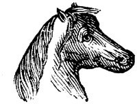 EAC015DD.TIF
