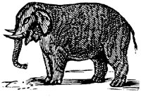 EAC014S.TIF