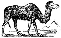 EAC014L.TIF