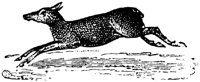 EAC013Q.TIF