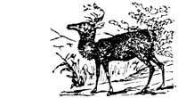 EAC013G.TIF