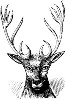 EAC013E.TIF