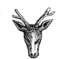 EAC013D.TIF