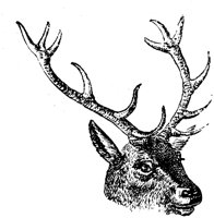 EAC013C.TIF