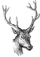 EAC013A.TIF