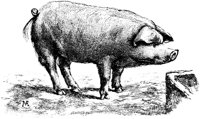 EAC012M.TIF