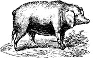 EAC012F.TIF