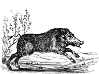 EAC012E.TIF