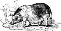 EAC012C.TIF
