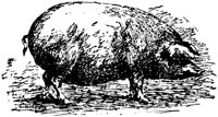 EAC012A.TIF