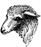 EAC011M.TIF