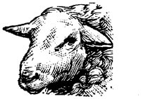 EAC011L.TIF