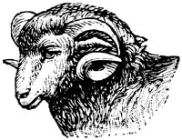 EAC011G.TIF