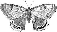 EAC029Q.TIF