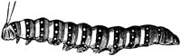 EAC029II.TIF