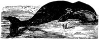 EAC027Z.TIF