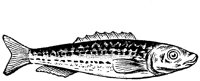 EAC027M.TIF