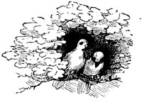 EAC024Q.TIF