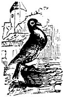 EAC024M.TIF