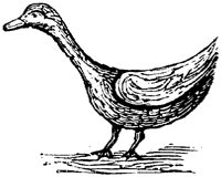 EAC022Q.TIF