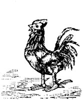 EAC021S.TIF