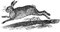 EAC021G.TIF