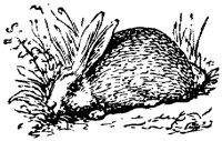 EAC021E.TIF