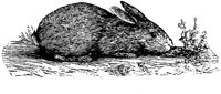 EAC021C.TIF