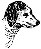EAC020Q.TIF