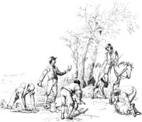 OES027D.TIF