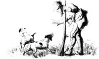 OES014C.TIF