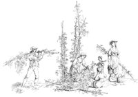 OES001C.TIF
