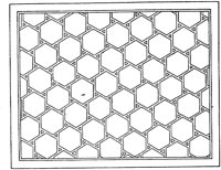CLD307B.TIF