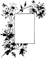 DIM091D.TIF