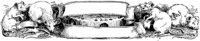 DIM063F.TIF
