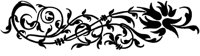 POC021N.TIF