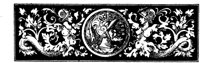 POC019A.TIF