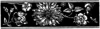 POC018A.TIF