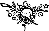 POC001N.TIF