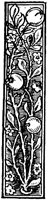 POC001H.TIF