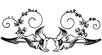 POC065C.TIF