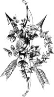 POC056C.TIF