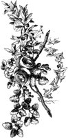 POC056A.TIF