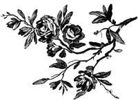 POC055F.TIF