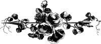 POC055D.TIF