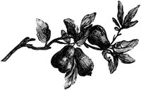 POC055C.TIF