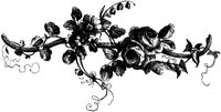 POC055A.TIF