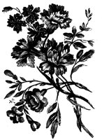 POC054E.TIF