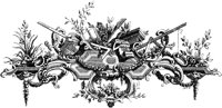 POC049D.TIF